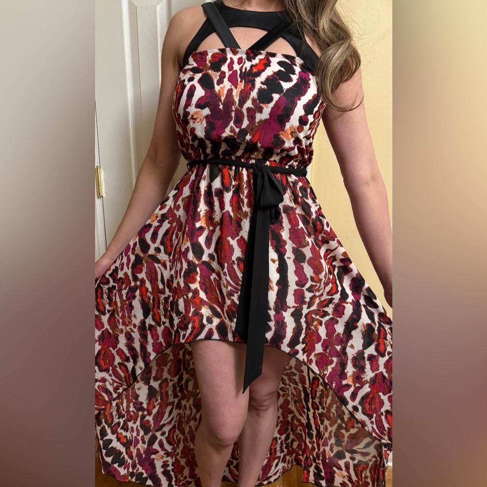 Stylish Multicolor Women's Dress